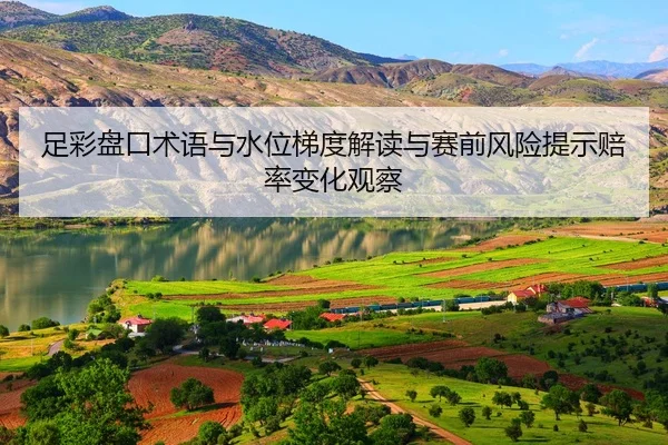 足彩盘口术语与水位梯度解读与赛前风险提示赔率变化观察